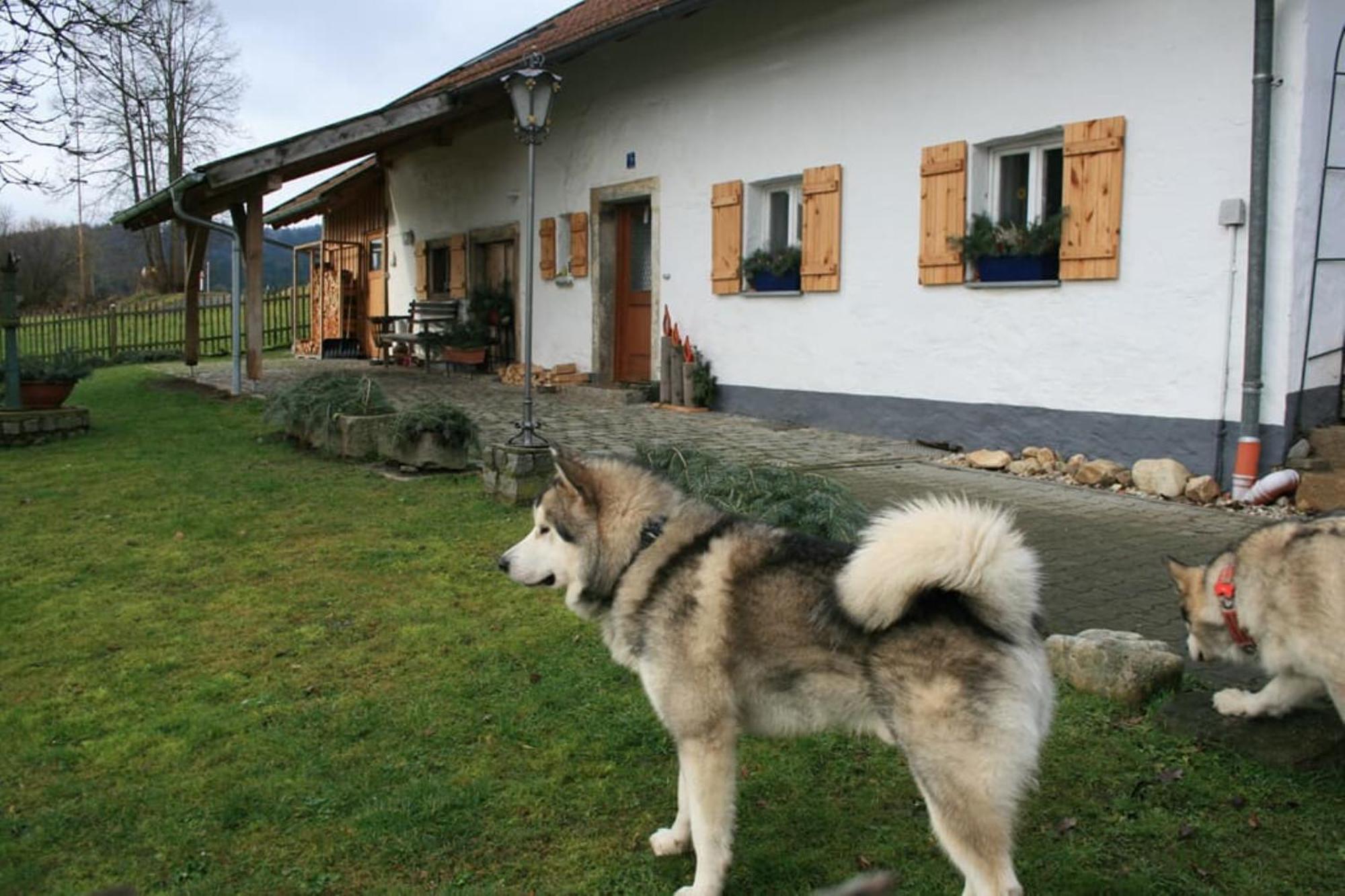 Ferienhaus Winter Blaibach Exteriér fotografie