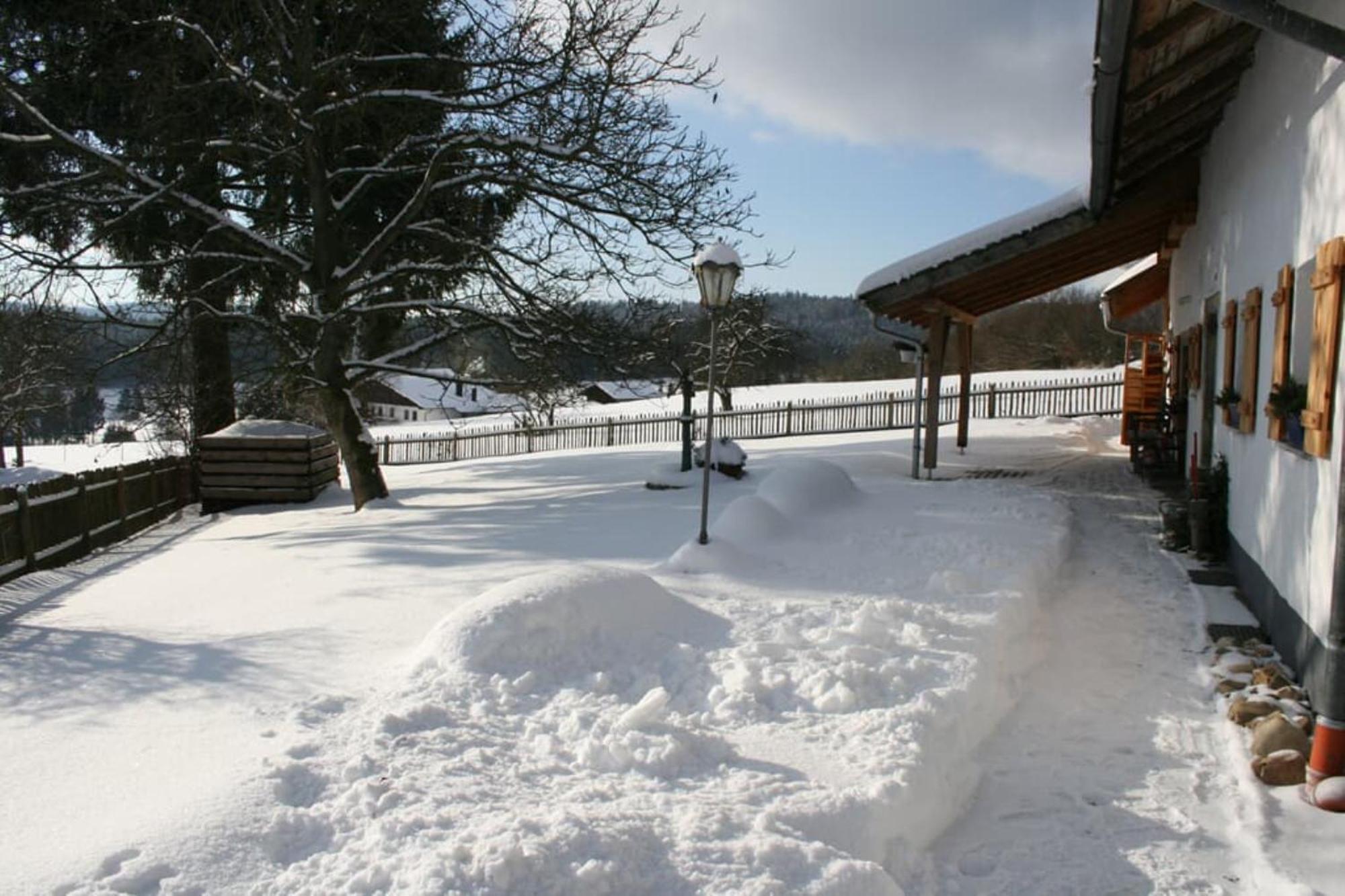 Ferienhaus Winter Blaibach Exteriér fotografie